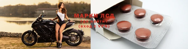 ПСИЛОЦИБИНОВЫЕ ГРИБЫ Магас