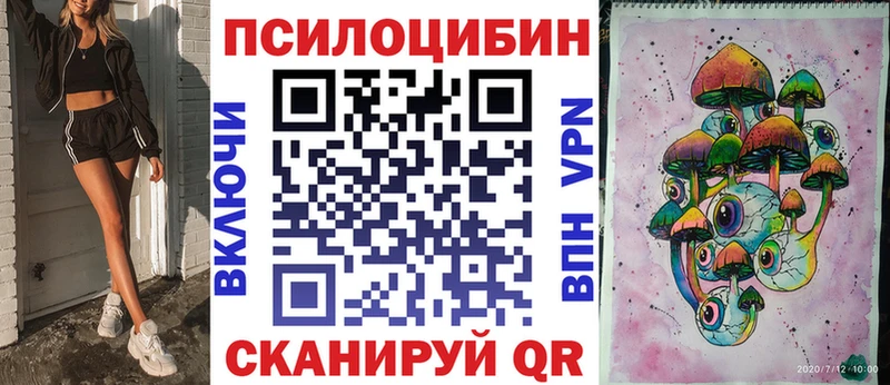 цены   Нерчинск  Псилоцибиновые грибы Psilocybe 